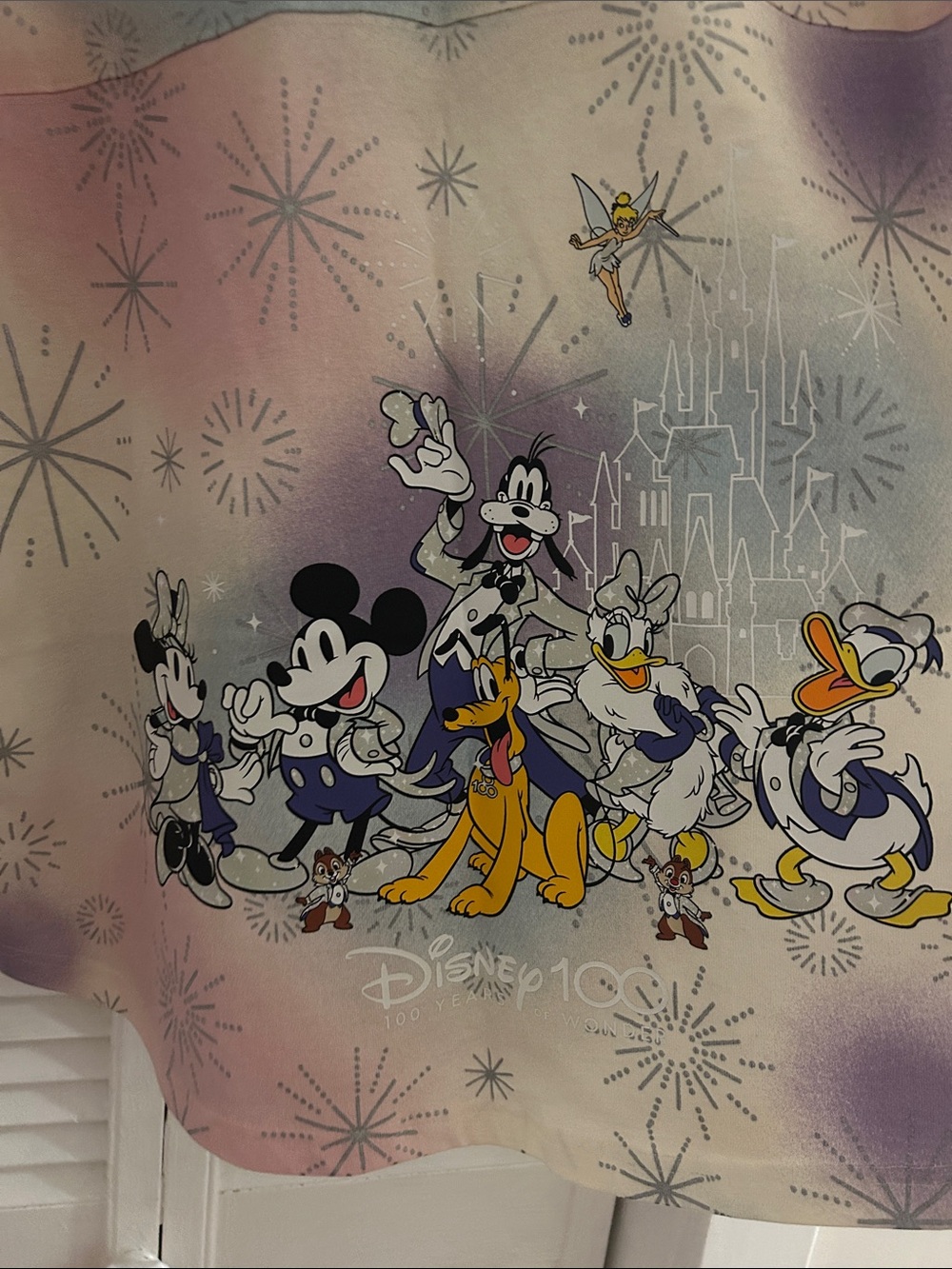 Disney Mickey & Friends 100th Anniversary Rare - Picture 6 of 6